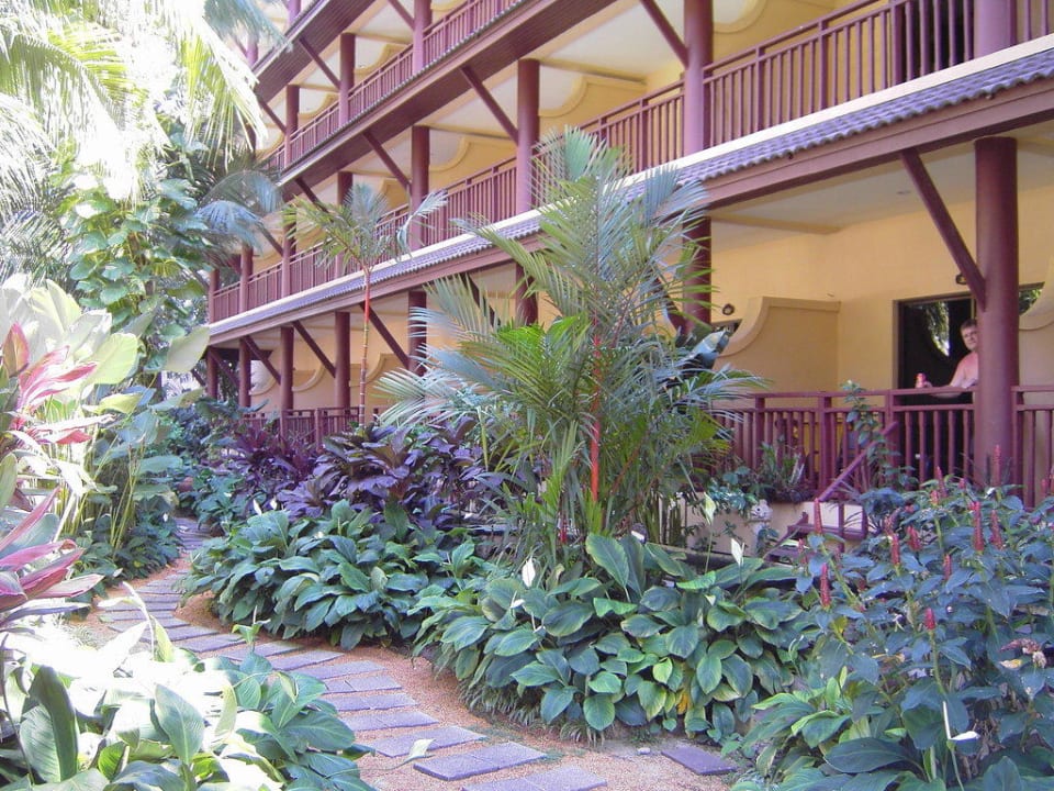 Ansicht vom Garten  Kata Palm Resort & Spa