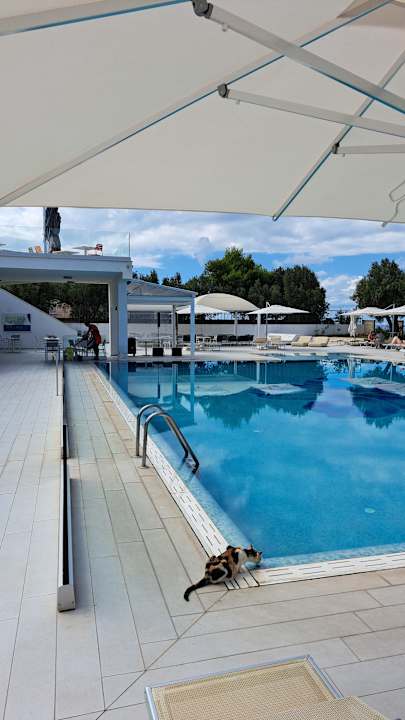 Pool TUI BLUE Tropea