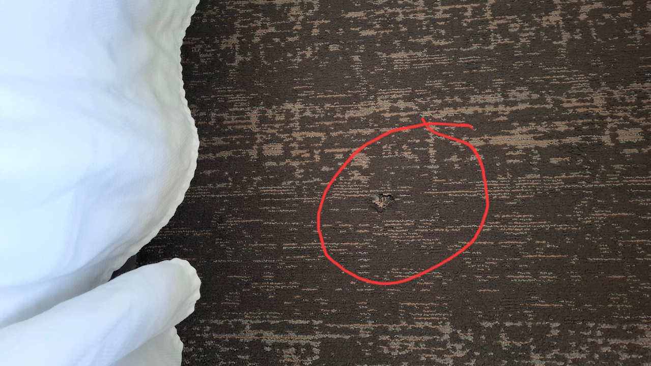 Zimmer Best Western Swan Castle Inn