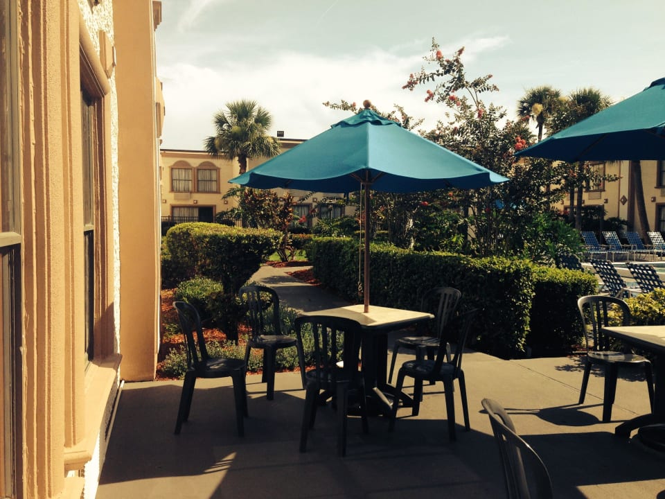 Am Pool Hotel La Quinta Inn Orlando I-Drive North