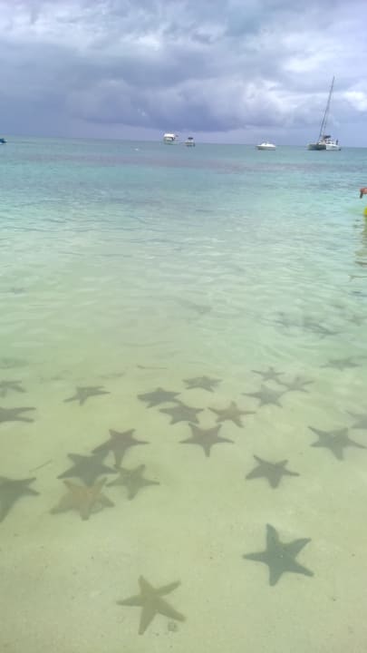 Strand Royal Zanzibar Beach Resort