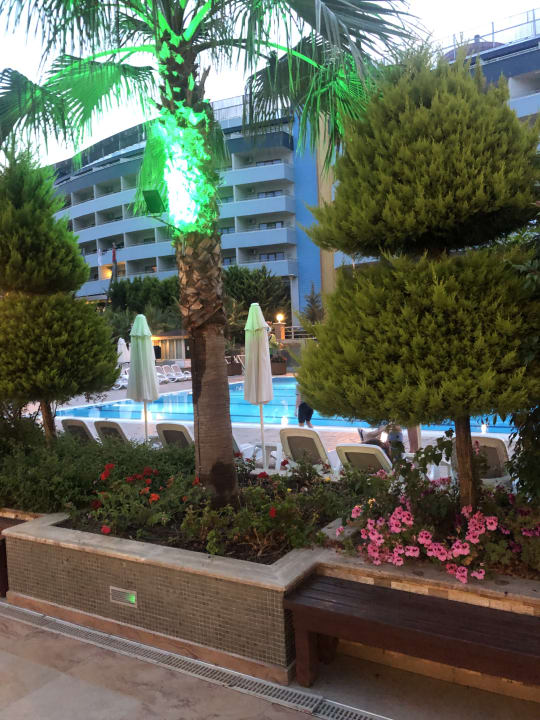 Gartenanlage Dizalya Palm Garden