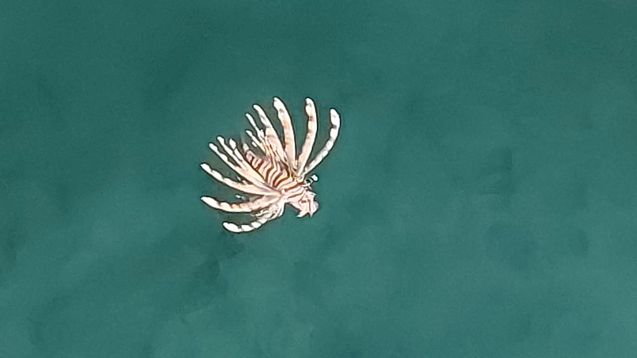 Strand Pickalbatros Citadel Resort