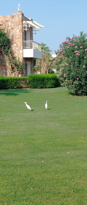 Gartenanlage Brayka Bay Resort