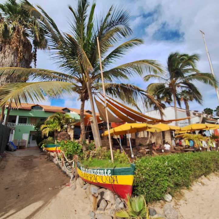 Gartenanlage Hotel Riu Palace Santa Maria