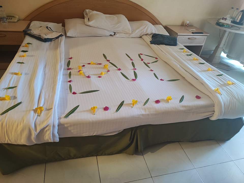 Zimmer Ghazala Gardens