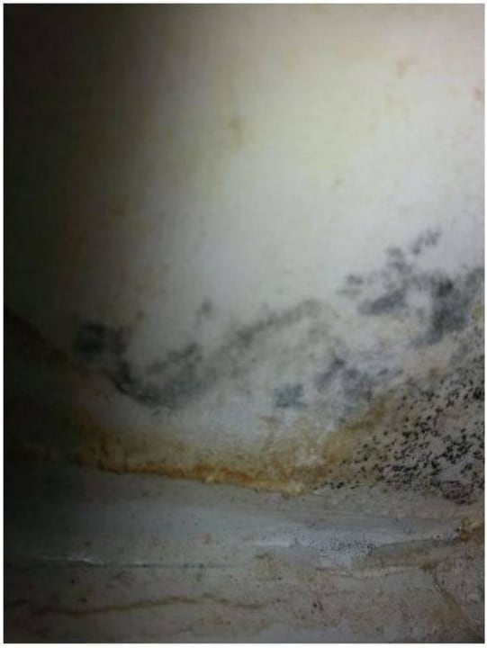 Kingsuite 1516 Schimmel Wohnzimmer Voyage Belek Golf & Spa