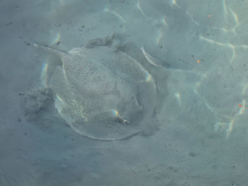 Strand NH Maldives Kuda Rah Resort