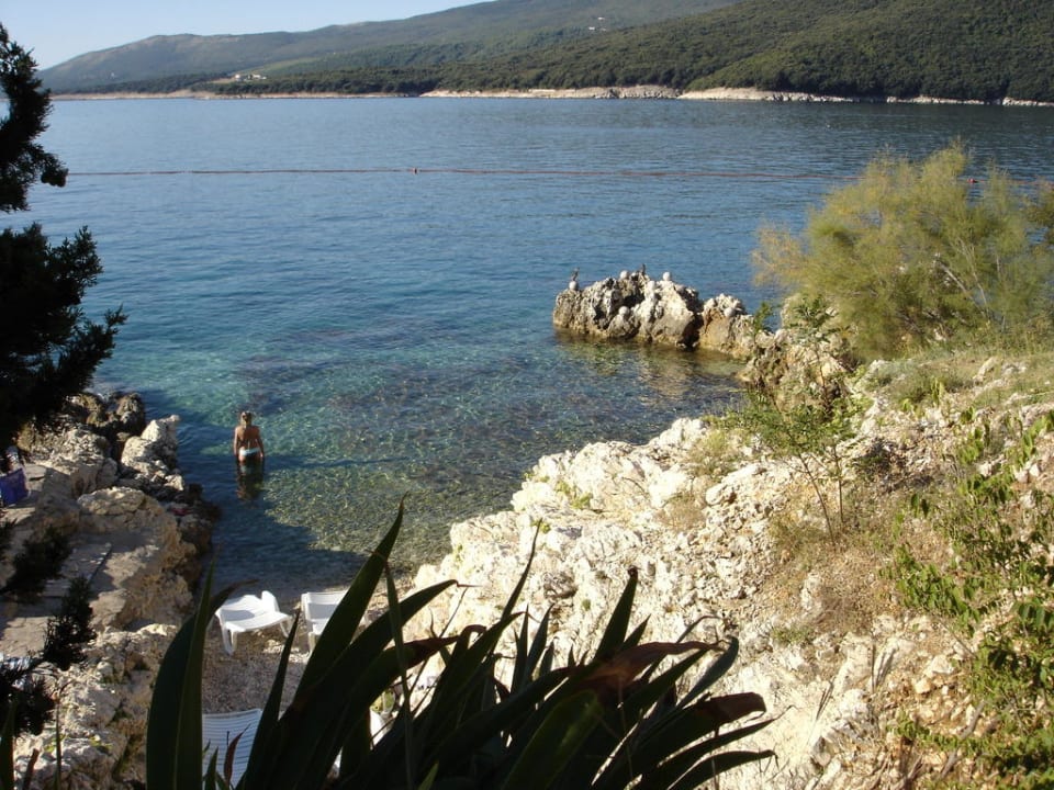 Bucht Valamar Sanfior Hotel & Casa