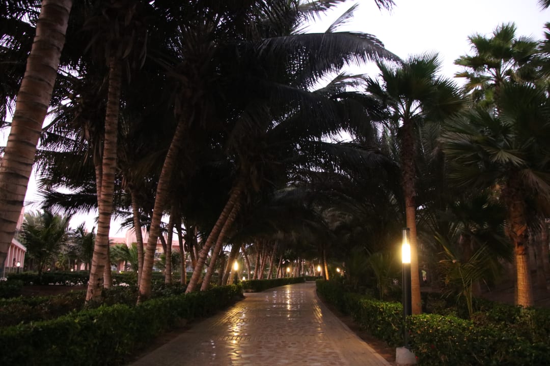 Gartenanlage Hotel Riu Cabo Verde