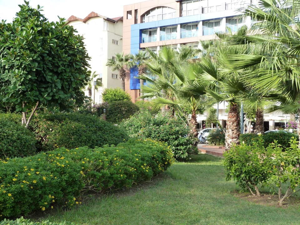 Hotel  Gardenia Hotel