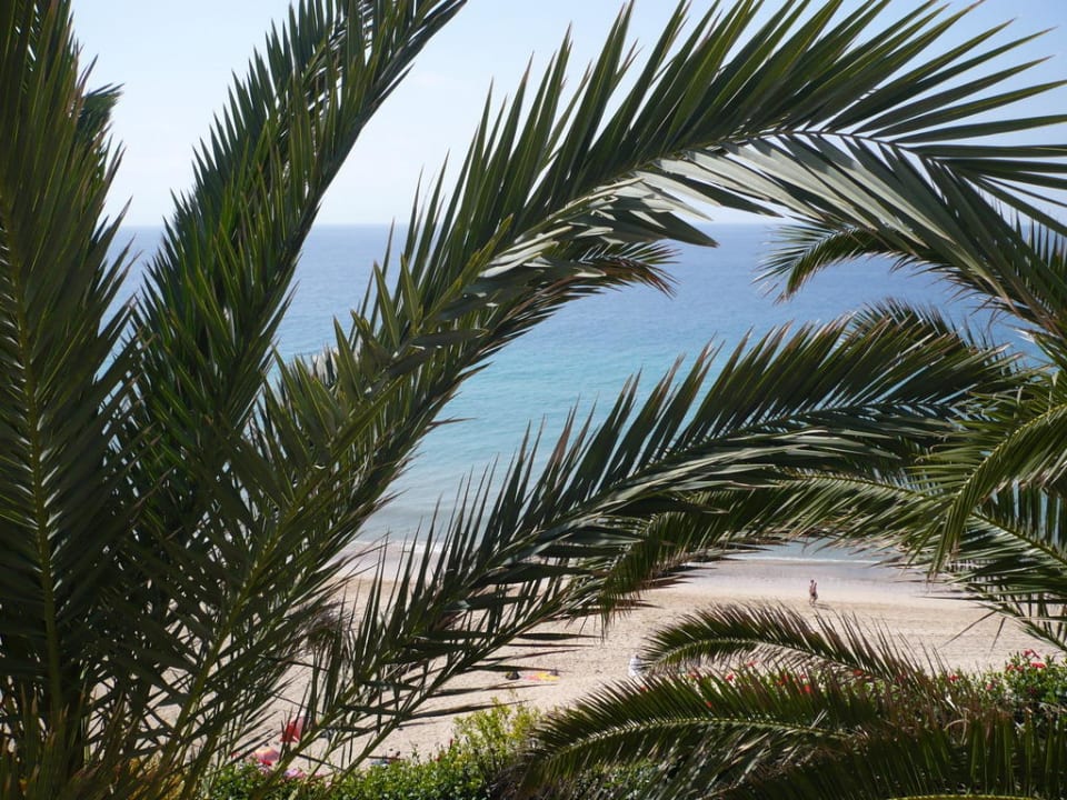 Blick zum Strand Hotel Riu Palace Jandia