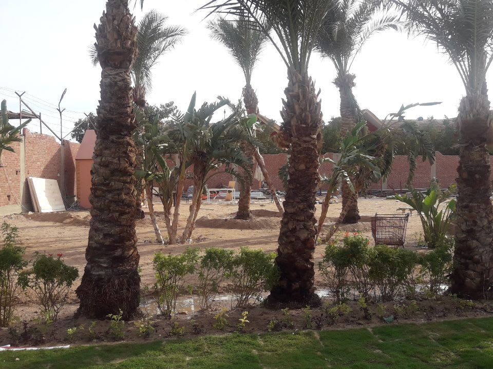 Garten Pickalbatros Jungle Aqua Park Resort - Neverland Hurghada