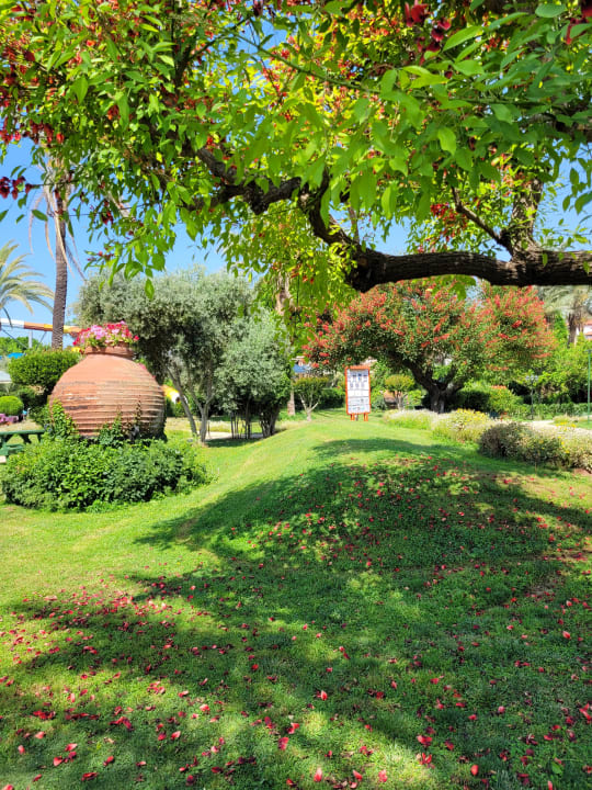 Gartenanlage Belconti Resort Hotel