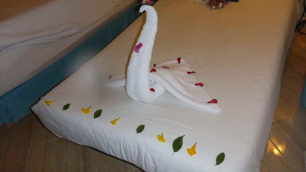 Zimmer Malikia Resort Abu Dabbab