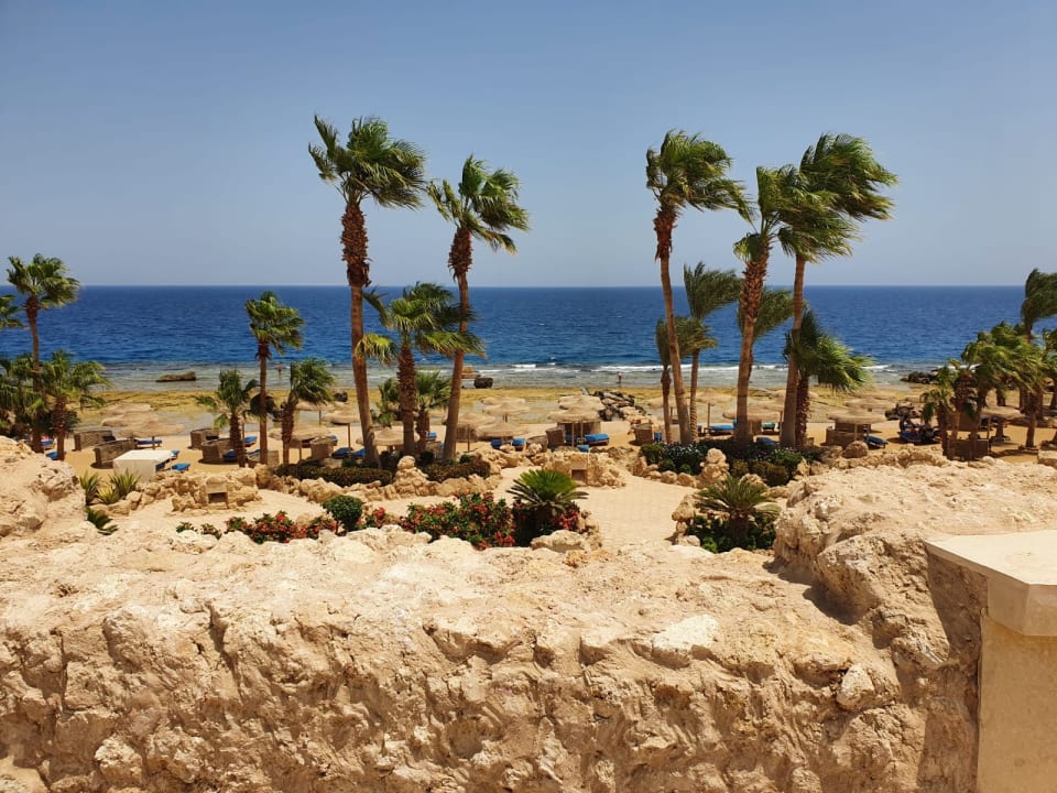 Gartenanlage Pickalbatros Citadel Resort