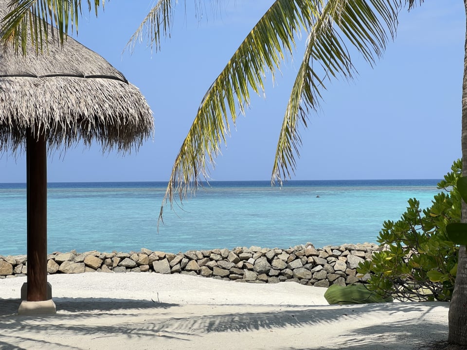 Ausblick Summer Island Maldives