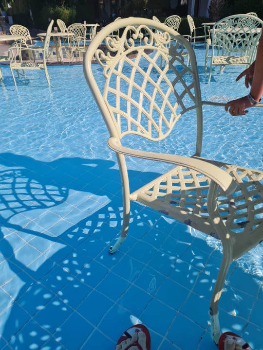 Gastro Dream World Aqua Hotel