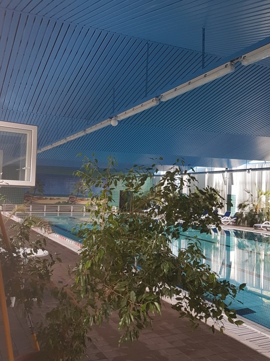 Pool AHORN Berghotel Friedrichroda