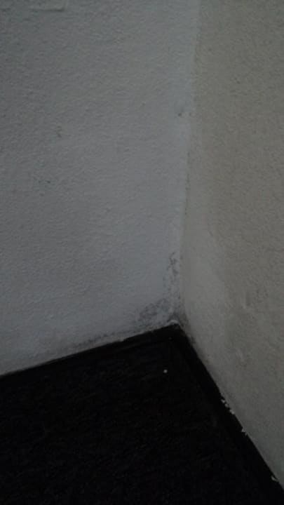 Renovierungsbedarf  freiraum Gästehaus