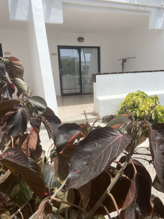 Gartenanlage Sol Fuerteventura Jandia - All Suites