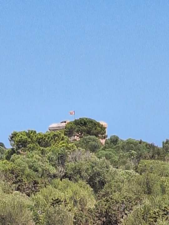 Sport & Freizeit O7 Colombo