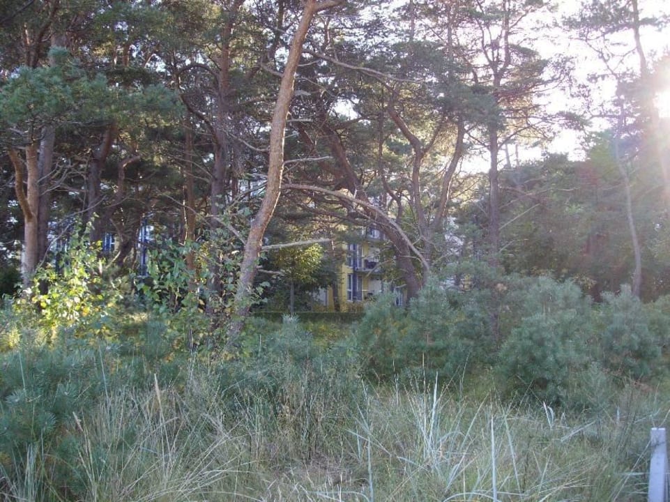 Außenansicht vom Strand aus IFA Rügen Hotel & Ferienpark