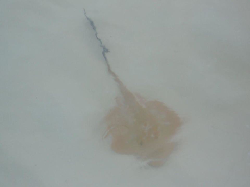 Rochen Kuredu Island Resort & Spa