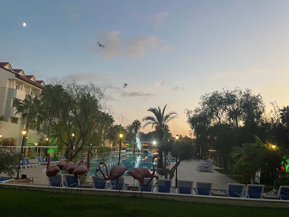 Pool Hotel Süral Resort