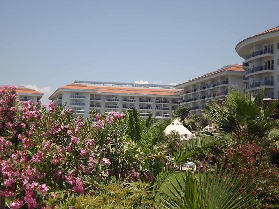 Viele Blumen Seaden Sea World Resort & Spa