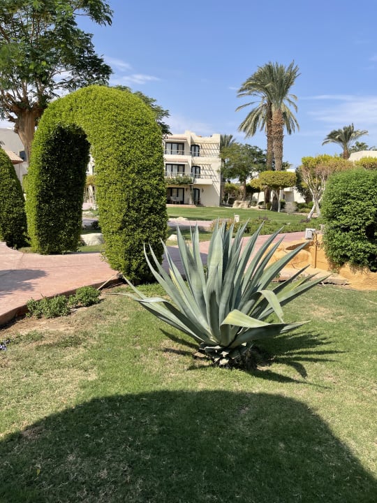 Gartenanlage Lotus Bay Beach Resort