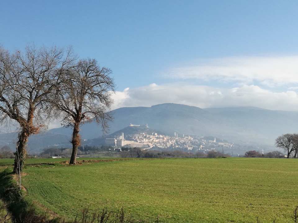 Sonstiges La Maestà