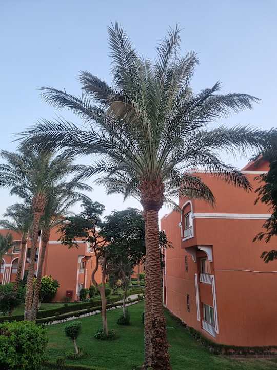 Ausblick Sentido Caribbean World Soma Bay