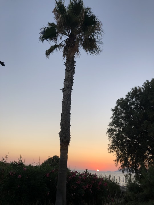 Ausblick Neptune Luxury Resort