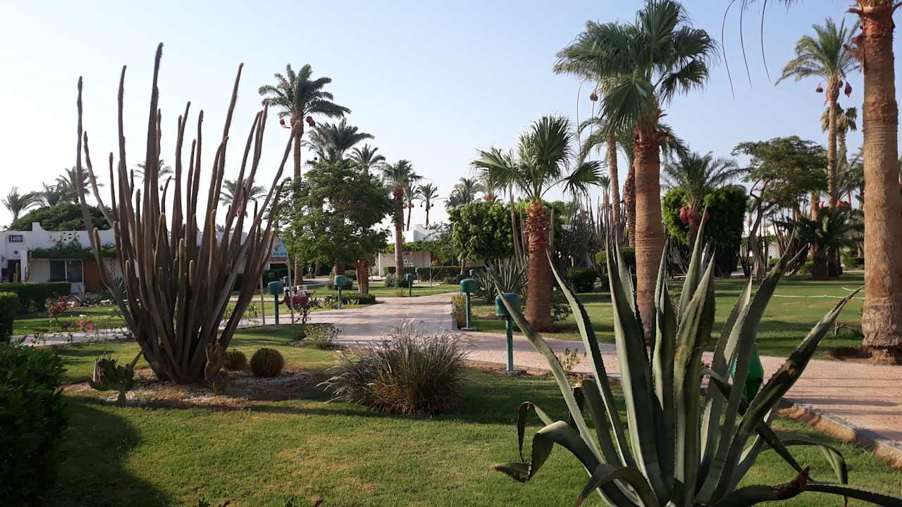 Garten Shams Safaga Resort