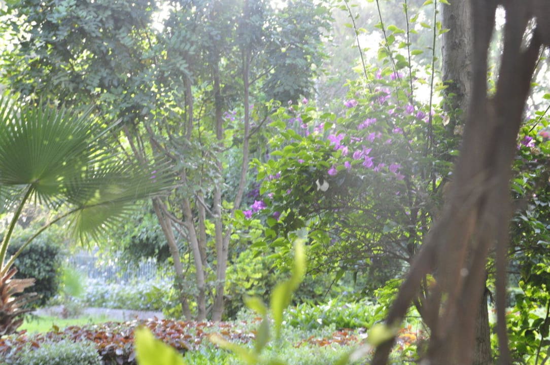 Ogróg Best Western Odyssee Park Hotel