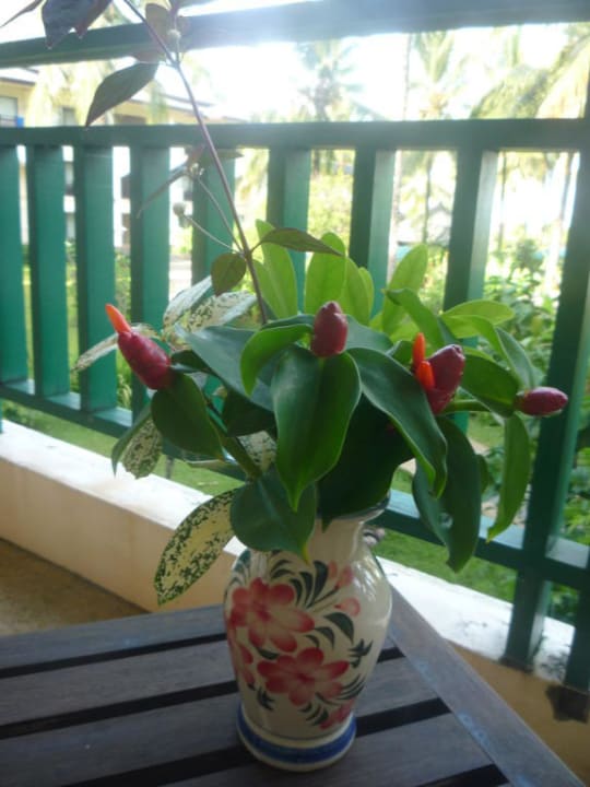 2011_Khao Lak Orchid Beach Khaolak Orchid Beach Resort