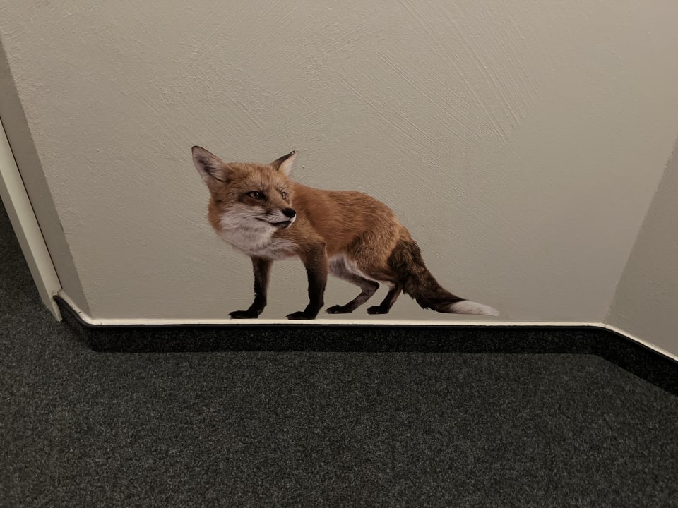 Sonstiges Haubers Naturresort