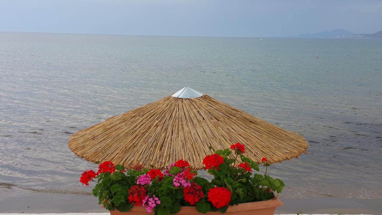 Schön Harmony Boutique Resort