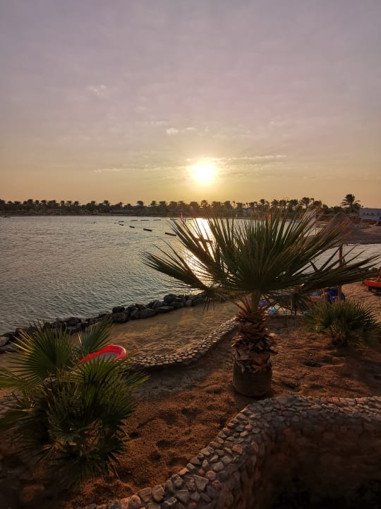 Ausblick Desert Rose