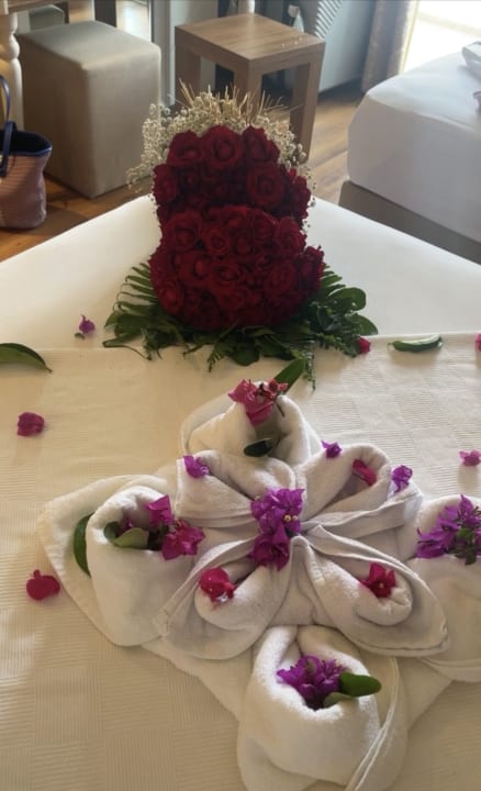 Zimmer Oz Hotels Sui Resort