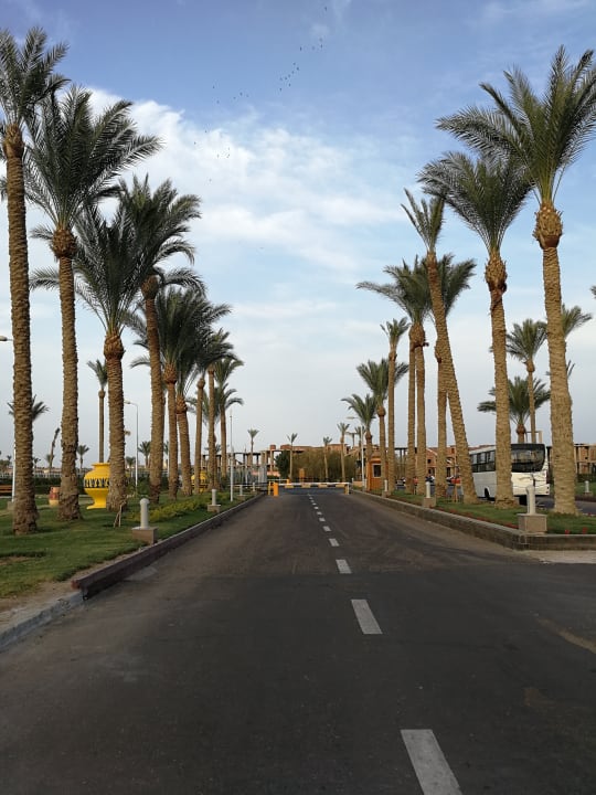 Sonstiges Pickalbatros Alf Leila Wa Leila Resort - Neverland Hurghada