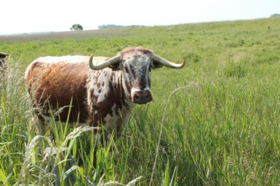 Ausblick Haus Wildgans - Ferienwohnung Sonnenblume