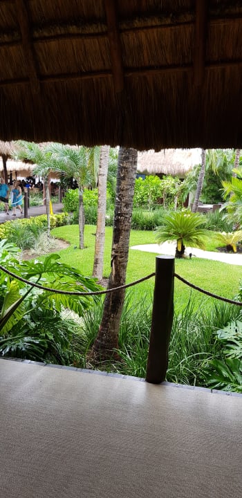 Lobby Akumal Bay Beach & Wellness Resort