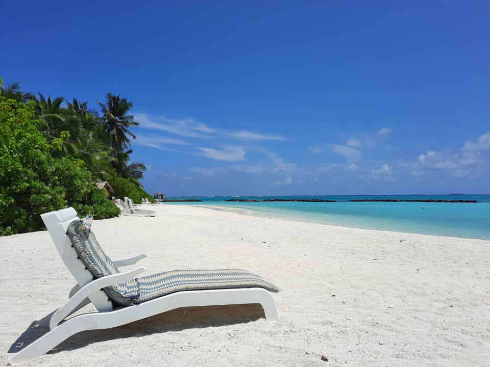 Strand Summer Island Maldives