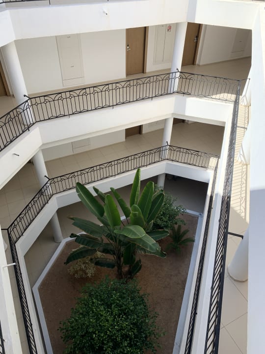 Sonstiges Club Palm Azur