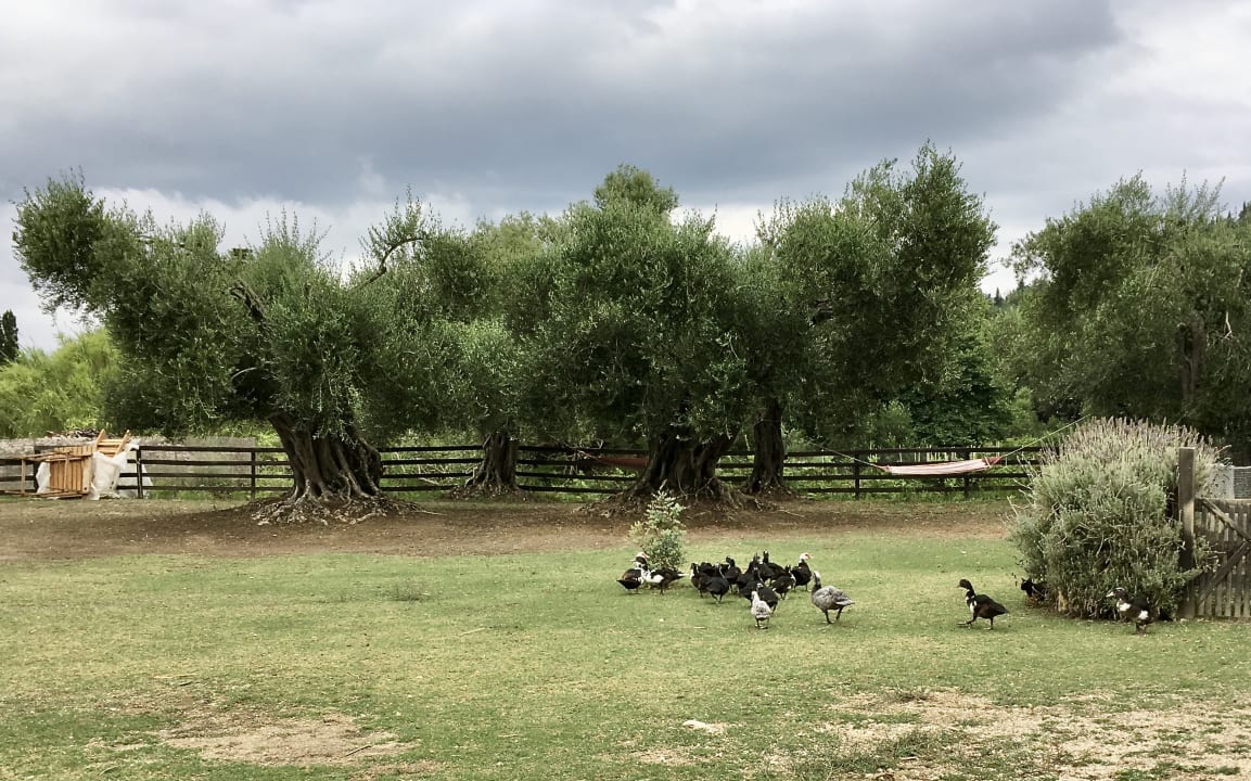 Gartenanlage Honigtal Farmland