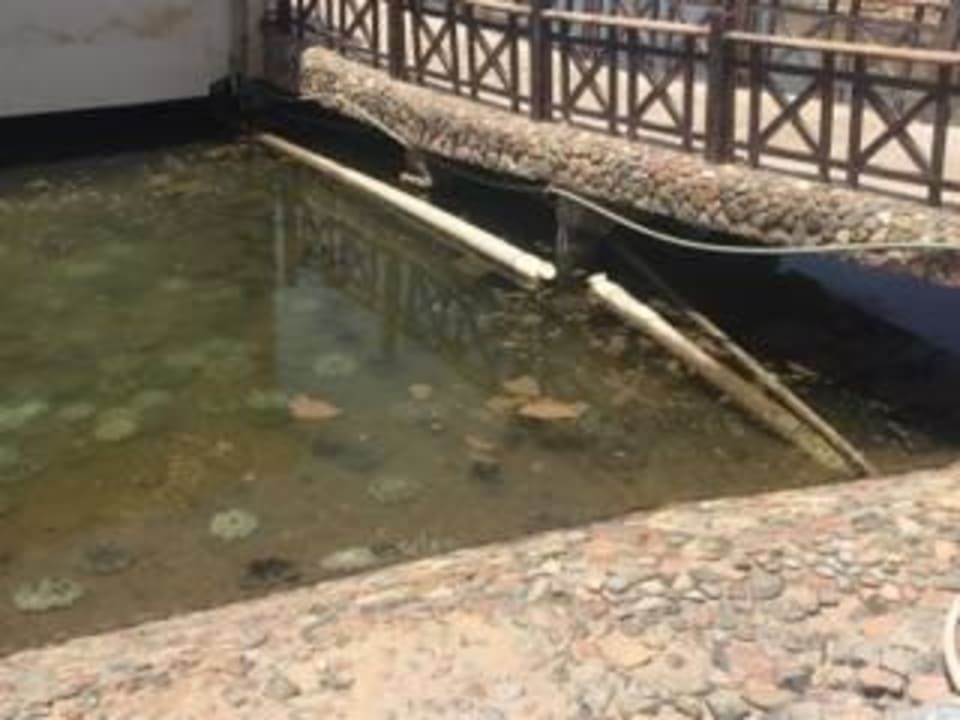 Lagune am Pool Panorama Bungalows Resort El Gouna