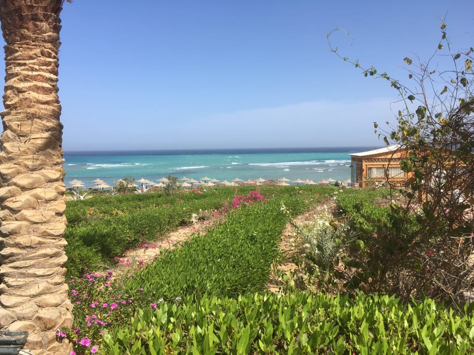 Strand Fantazia Resort Marsa Alam