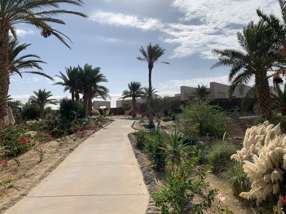 Gartenanlage Anantara Tozeur Resort